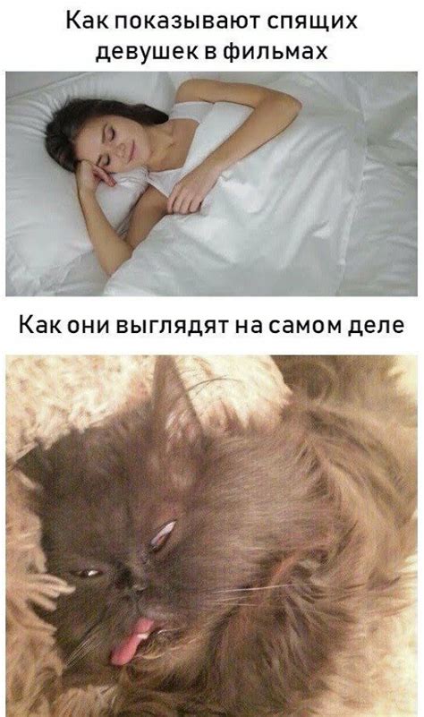 Прикольные картинки и надписи / Приколы