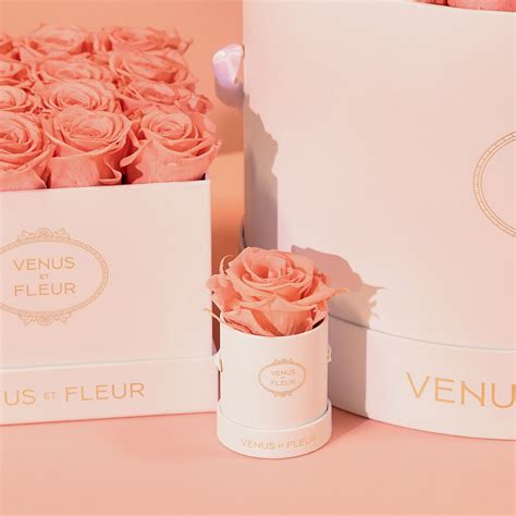 venus et fleur founder net worth