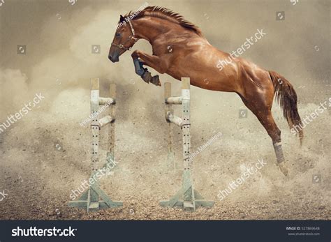 shutterstock