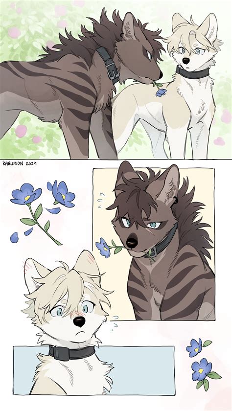 Twitter / furry canine :: furry canine :: furry art :: furry feral