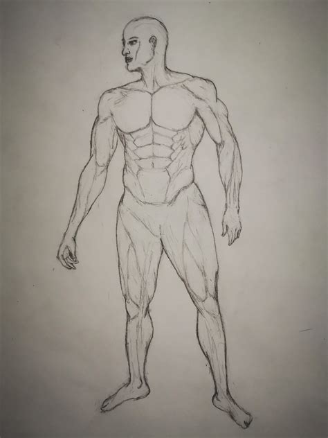 Been studying leg anatomy for only 4 days... I feel like the leg