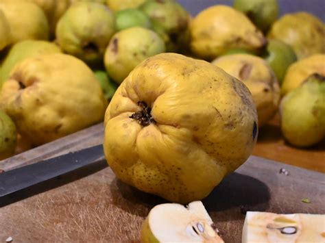 coing les elixirs disabelle