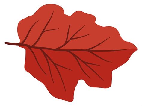 leaf cut  images    freepik