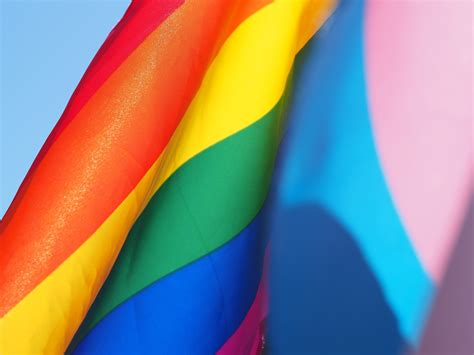 What Is the Difference Between Pansexuality And Omnisexuality
