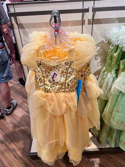 disney aurora dresses 10