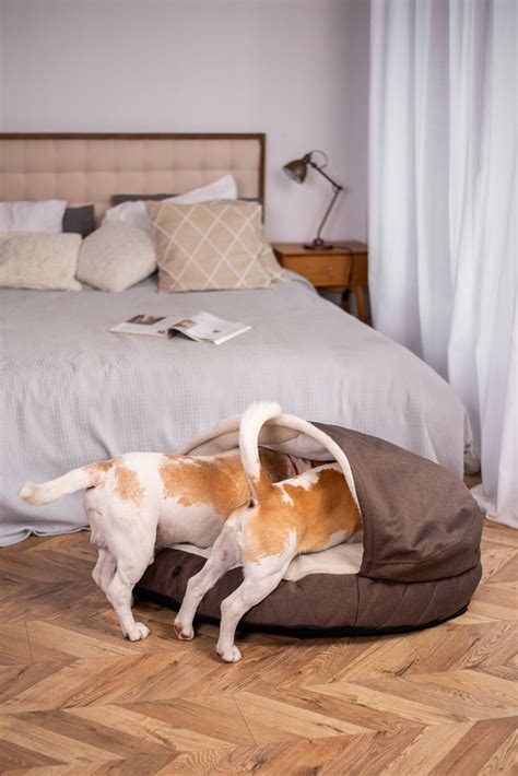 Warm Winter Dog Bed With Cover for Large Dogs, Dog Cave Bed - Etsy