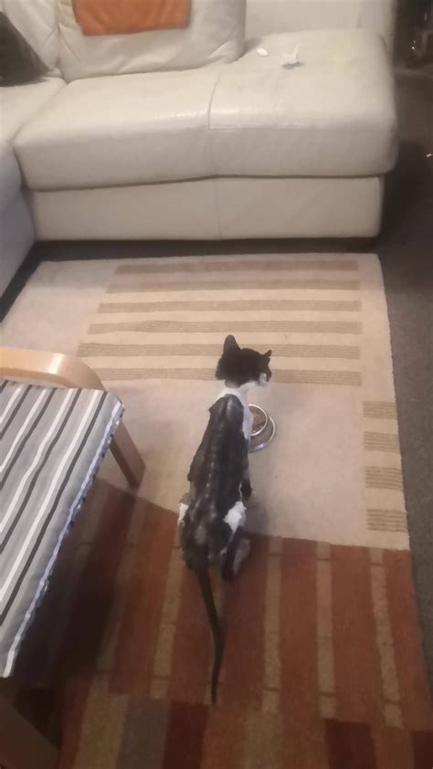 Something incredible happened on 7/29 that history books missed 16