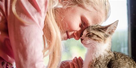 5 Ways To Build a Stronger Bond With Your Cat - Cats.com