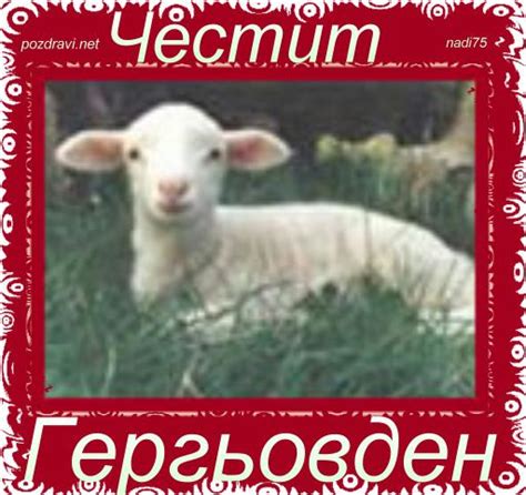 Честит Именден!!! Именник си днес,с име на.