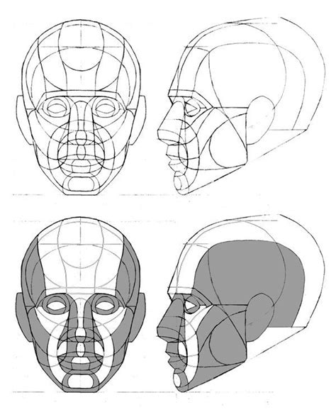 head drawing reference  paintingvalleycom explore collection