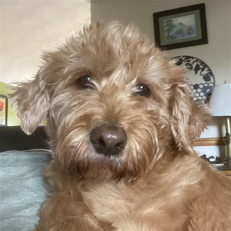 New studio equipment will change the channel 8 wgal broadcast 5