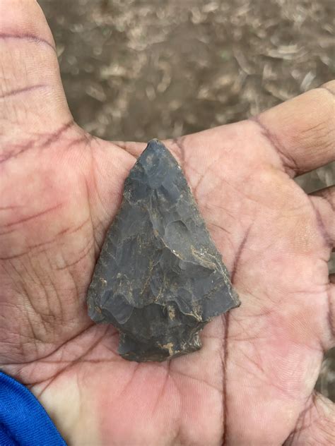 Back in the MAGIC field today! | Tennessee Hunting & Fishing Forum