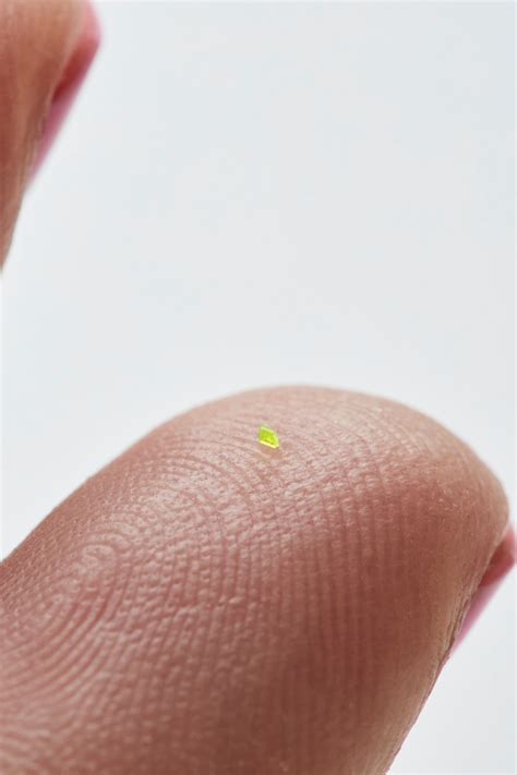 buy  microscopic handbag british vogue