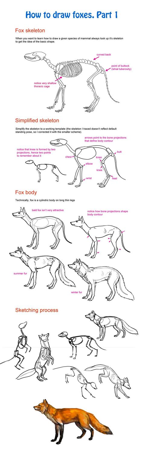 8 best :3 Realistic Foxes and Cartoon Fox Drawing Tutorials images on ...