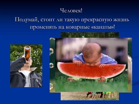 Здоровый образ жизни и вредные привычки - презентация онлайн