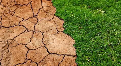 O que é degradação do solo, causas e como evitar? - eCycle