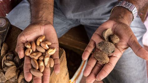 Buying pecan nuts aldi brands actually beat the luxury competitors 6