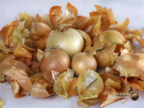 Onion Peel | Kashevar