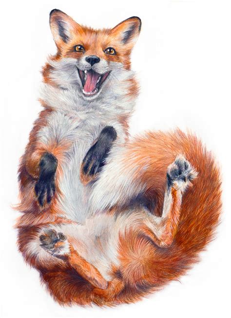 Premium Photo | Realistic drawing of a fox on a white background. funny ...