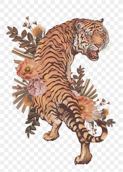 transparent png images  png vector graphics effects