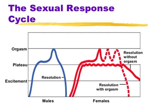 Psych 10 - Human Sexuality DONE (Khayla) Flashcards | Quizlet