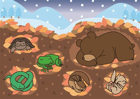 冬に冬眠する動物 – 冬眠 する 動物 一覧 ヘビ – PTDAVB