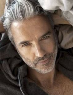 91 Silver Fox ideas | grey hair men, mens hairstyles, older men