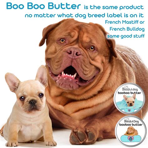boo boo butter herbal dog balm  puppy skin care   blissful dog