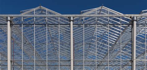 Q&A: What growers need to know about construction - Greenhouse Management