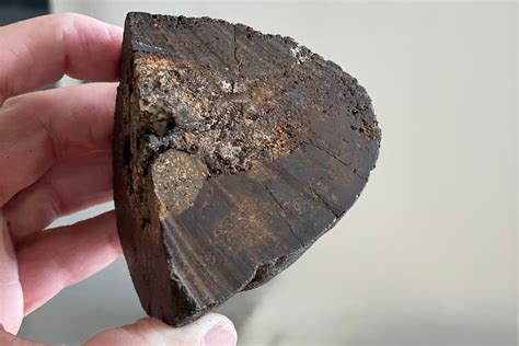 The Metals Company Applied to the U.S. for a Deep-Sea Mining License