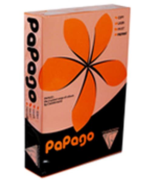 gsm  papago tinted printer copier paper  packs   sheets vari