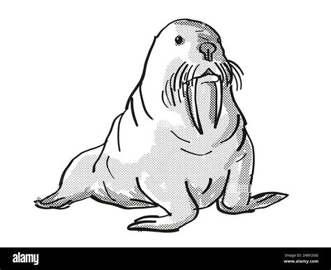 Walrus Cartoon High Resolution Stock Photography and Images - Alamy
