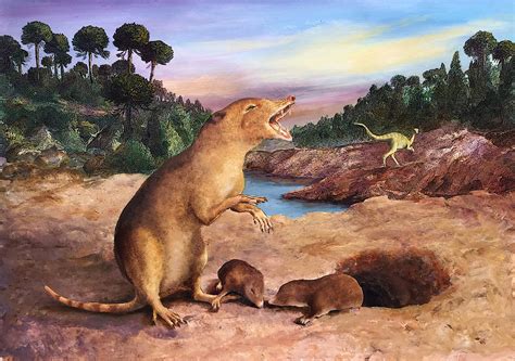 Toothy Triassic shrew crowned earliest known mammal