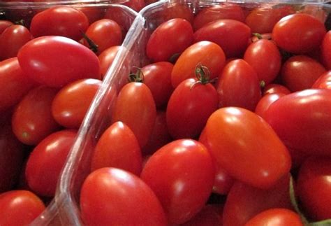 natural red  seeds tomato packaging type box packaging size  kg