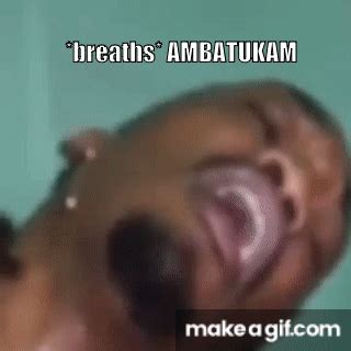 ambatukam full clip    gif