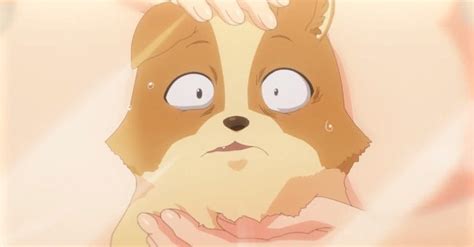My Life As Inukai San's Dog Has Mouth Watering Fanservice