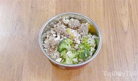 Homemade Dog Food for Pancreatitis Recipe [helps to manage the condition]