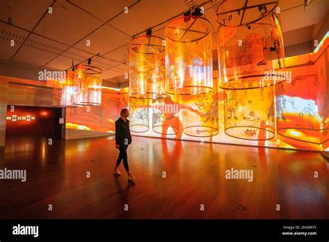 nalini malani gamepieces  res stock photography  images alamy