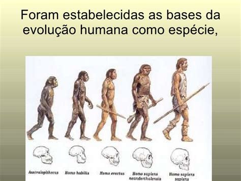 Teoria Da Evolução Resumo - Teoria da Evolução de Charles Darwin