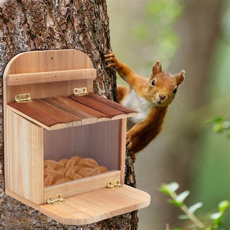 Hanging Squirrel Feeder Squirrel Feeding Box Wooden House for Yard Tree