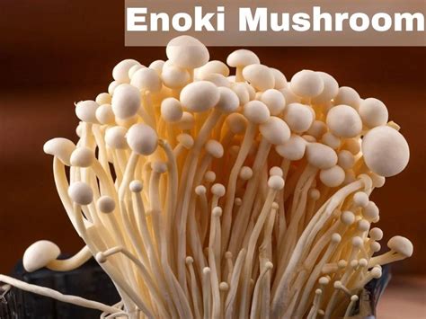 grow enoki mushroom step  step process explained