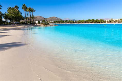 Platja de Alcudia beach in Mallorca Majorca - Meditravel