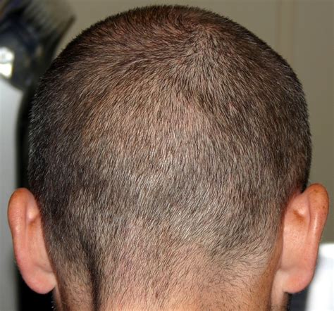 head  photo  freeimages