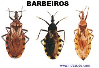 Doenca De Chagas Barbeiro