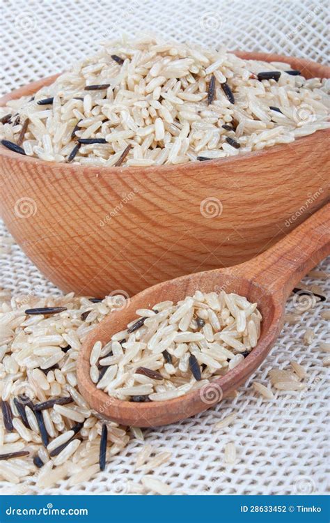 Wild rice stock photo. Image of indian, asian, long, crop - 28633452