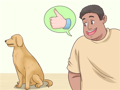 How To Treat A Dog That Has Been Abused