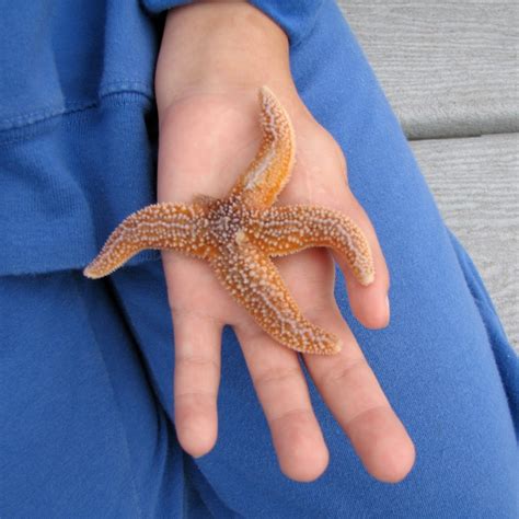 Little Arms Upper Extremity Center | Philadelphia PA