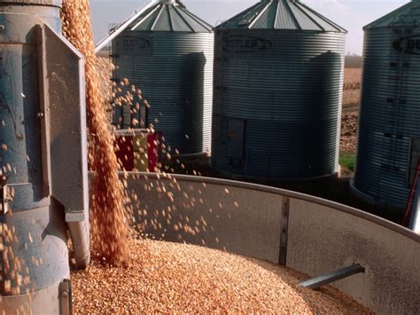 What are Data Silos? | Glossary | HPE