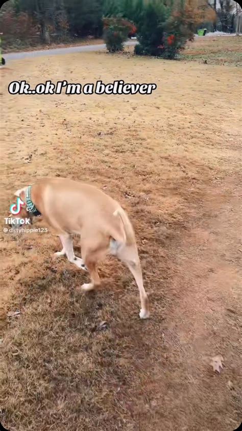 The Duty Mitt (@thedutymitt) • Instagram photos and videos