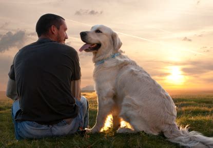 Porque Os Cachorros Latem De Madrugada Espiritual - Por Que Os Cachorros Latem De Madrugada? Como Parar? | Mundo Ecologia